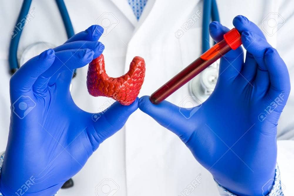 9-19 thyroid-test